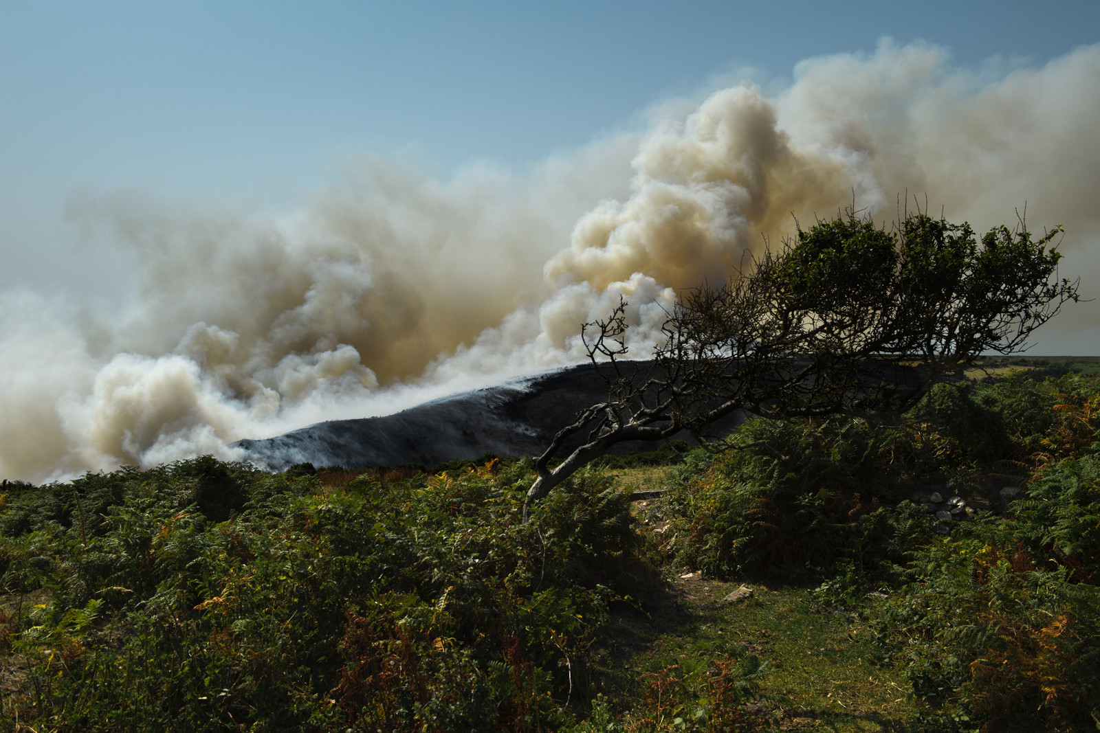 Incendie dans la Hague