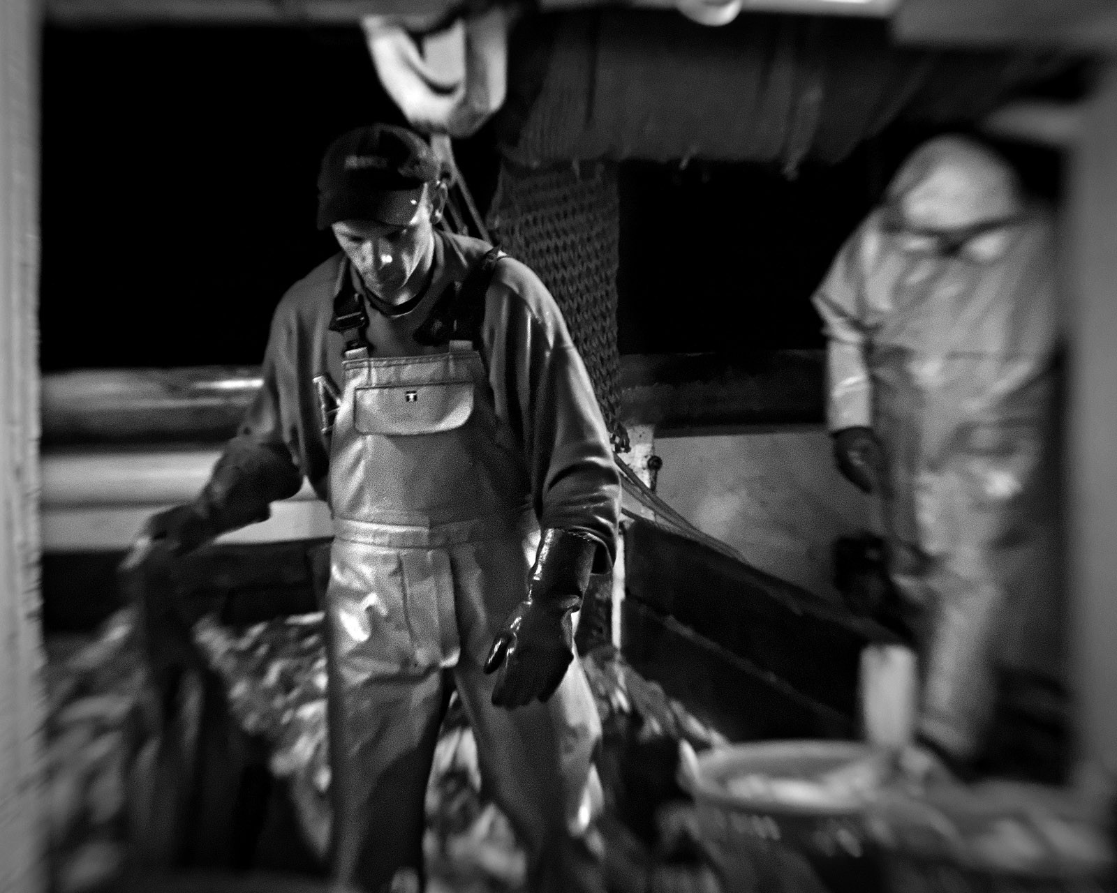 Marin pêcheur.. Deux mots qui suscitent tant de sentiments divers chez les gens de terre... Respect, admiration pour cette liberté, ce courage, mais aussi souvent peur et angoisse. Sont-ils fous ou désepérés pour risquer ainsi leurs vies quotidiennement ? Non, justes passionnés par leur métier, la mer est leur grande histoire d'amour.Le salaire de la peur des forcats de la mer, le journaliste avait raison.Ces photographies réalisées au cours de plusieurs marées à bord du Yannick, chalutier cherbourgeois, vous décrivent l'histoire d'un navire, d'un équipage, d'une famille. Vous embarquez à leurs côtés et découvrez leurs conditions de travail, la tempête, la fatigue, et, au détour d'une image, un sourire.Sophie LeroyDirectice de l'Armement Cherbourgeois