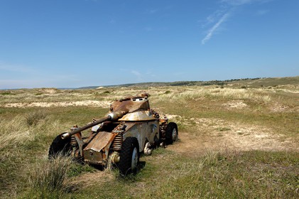 Les dunes de Biville couvrent plus de 700 hectares du littoral de la Hague (Manche), entre le cap de Flamanville et les falaises d’Herqueville. Elles constituent un massif naturel exceptionnel, tant par la qualité de ses paysages que sa richesse botanique.