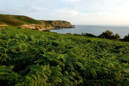Cette baie bien abritée est une plage de galets et de sable fin, et tire son nom des moulins qui existaient autrefois dans la vallée qui la surplombe (écailler le grain). Les roches de l'anse de Cul Rond figurent parmi les plus anciennes de France : plus de 2 milliards d'années.