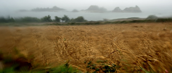 Une journée pluvieuse dans la Hague