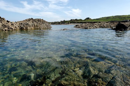 A l’ouest du Cotentin (Manche), la Hague est une terre de contrastes et de lumières, une région sauvage et préservée. Le mot Hague est un ancien terme dialectal normand. Il est issu du vieux norois qui signifie «enclos, terrain clos».La Hague présente un littoral varié : falaises abruptes (entre Urville-Nacqueville et Omonville-la-Rogue, et entre Auderville et Vauville), au pied desquelles se trouve une succession de baies, grandes plages (Urville-Nacqueville et à Vauville), d'îlots et platiers rocheux (cap de la Hague,pointe de Jardeheu..), des massifs dunaires (Biville), des grèves de galets (Anse Saint-Martin), des marais arrière-littoraux (Mare de Vauville) et des vallons boisés (Hubiland, Sabine…). La côte est également agrémentée de petits ports (Goury, le Houguet, Port Racine, Port du Hâble…) et de mouillages.La péninsule haguaise est principalement un pays de landes et de bocage, à l'intérieur des terres, formées de fougères, bruyères, genêts et ajoncs.