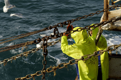 Ce reportage a été réalisé en janvier 2014 à bord du chalutier Marie-Catherine, appartenant à la SARL Armement Cherbourgeois créé en 1999 par Sophie et David LEROY. Cette marée de 7 jours fût assez mouvementée d'une part par la météo très capricieuse, mais également par la difficulté de réaliser les prises de vues. Une sélection de 20 photographies a été présentée lors de la 4ème édition du Festival photo L'Homme et la Mer au Guilvinec (Bretagne) en 2014, ainsi qu'au Musée de Tatihou 'Avis de grand frais (Manche) http:  www.armement-cherbourgeois.fr 