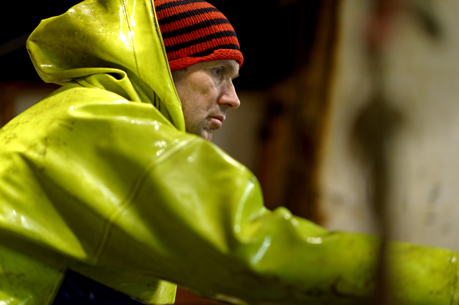 Ce reportage a été réalisé en janvier 2014 à bord du chalutier Marie-Catherine, appartenant à la SARL Armement Cherbourgeois créé en 1999 par Sophie et David LEROY. Cette marée de 7 jours fût assez mouvementée d'une part par la météo très capricieuse, mais également par la difficulté de réaliser les prises de vues. Une sélection de 20 photographies a été présentée lors de la 4ème édition du Festival photo L'Homme et la Mer au Guilvinec (Bretagne) en 2014, ainsi qu'au Musée de Tatihou 'Avis de grand frais (Manche) http:  www.armement-cherbourgeois.fr 