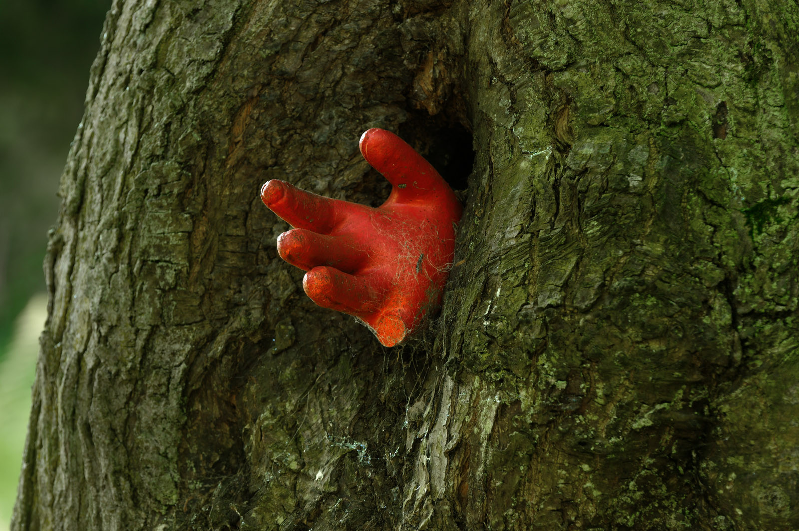 En hommage au poète, ses amis dont Gérard Fusberti, propriétaire du terrain et gardien du temple, décident de créer un jardin où chacun plantera son arbre ou laissera une de ses créations. Montand, Reggiani, Greco ou Mouloudji plantèrent chacun leur double végétal lors de la célébration du dixième anniversaire de la mort de Prévert, un eucalyptus aujourd'hui haut d'au moins 20 mètres pour Mouloudji.Se balader dans ce jardin, c'est pénétrer dans l'univers du poète. Au milieu des arbres d'ornement, des bambous peints de rouge vif, des arbres fruitiers, des camélias, des azalées, des gunneras (que Prévert adorait) et des hortensias, des œuvres d'art se révèlent ça et là, tantôt un portrait, tantôt une sculpture ou une installation. Des arbres peints prennent vie, une main rouge semblant sortir de leur entrailles, le ruisseau qui coule en cascade murmure une douce poésie, que l'on retrouve en quelques phrases inscrites sur des plaques qui surgissent au milieu de cette jungle organisée. (Saint-Germain-des-Vaux Manche)