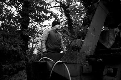 Les vergers du Clos Moulin