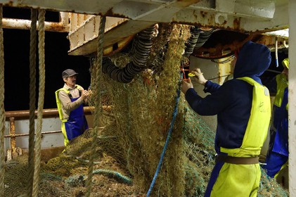 Ce reportage a été réalisé en janvier 2014 à bord du chalutier Marie-Catherine, appartenant à la SARL Armement Cherbourgeois créé en 1999 par Sophie et David LEROY. Cette marée de 7 jours fût assez mouvementée d'une part par la météo très capricieuse, mais également par la difficulté de réaliser les prises de vues. Une sélection de 20 photographies a été présentée lors de la 4ème édition du Festival photo L'Homme et la Mer au Guilvinec (Bretagne) en 2014, ainsi qu'au Musée de Tatihou 'Avis de grand frais (Manche) http:  www.armement-cherbourgeois.fr 