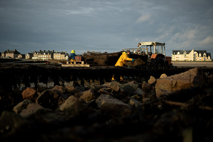 Les parcs à huîtres de Saint-Vaast-la-Hougue (Cotentin)
