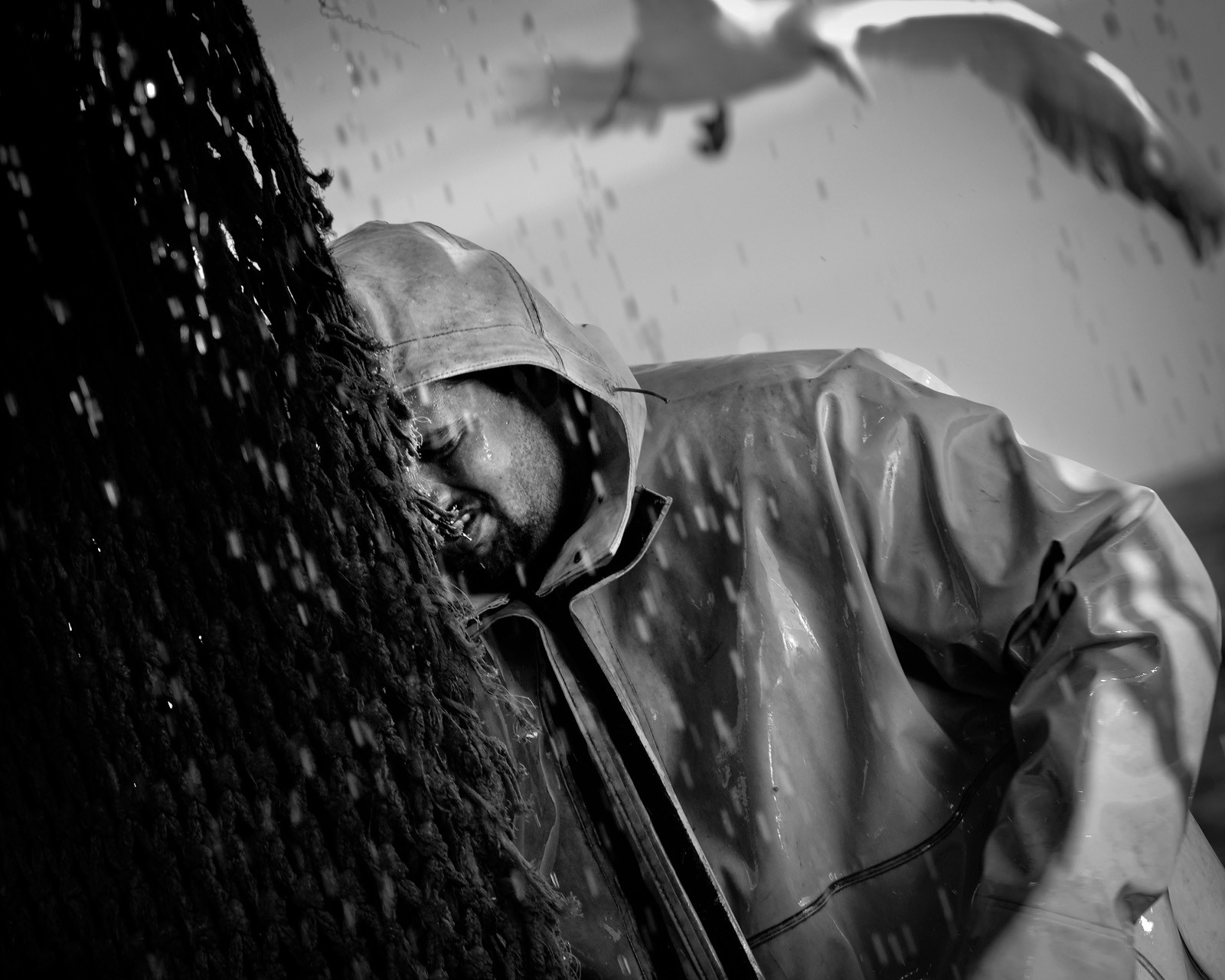 Marin pêcheur.. Deux mots qui suscitent tant de sentiments divers chez les gens de terre... Respect, admiration pour cette liberté, ce courage, mais aussi souvent peur et angoisse. Sont-ils fous ou désepérés pour risquer ainsi leurs vies quotidiennement ? Non, justes passionnés par leur métier, la mer est leur grande histoire d'amour.Le salaire de la peur des forcats de la mer, le journaliste avait raison.Ces photographies réalisées au cours de plusieurs marées à bord du Yannick, chalutier cherbourgeois, vous décrivent l'histoire d'un navire, d'un équipage, d'une famille. Vous embarquez à leurs côtés et découvrez leurs conditions de travail, la tempête, la fatigue, et, au détour d'une image, un sourire.Sophie LeroyDirectice de l'Armement Cherbourgeois