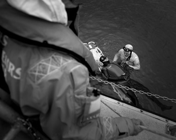 Antoine Soubigou Photographe