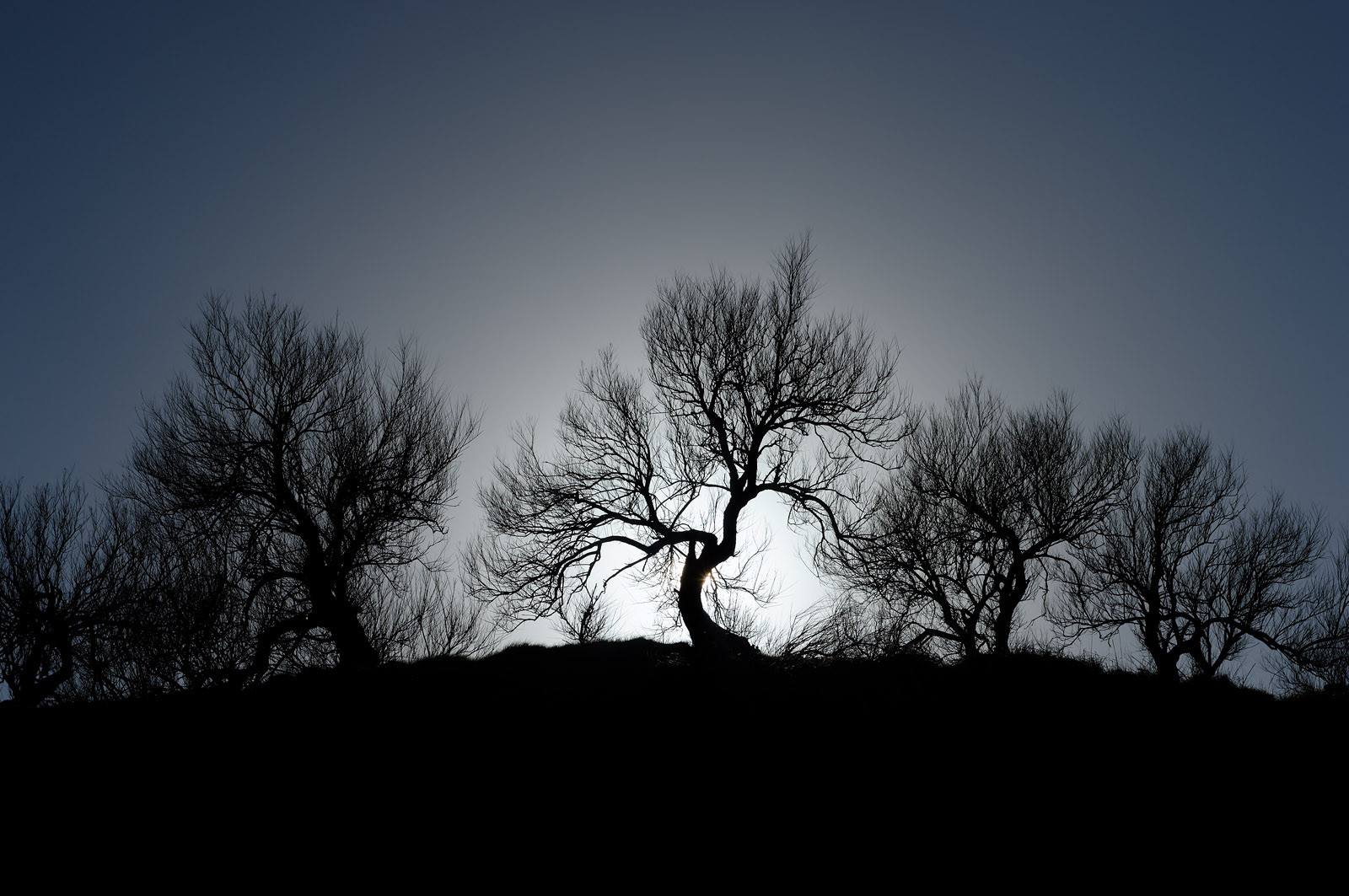 A l’ouest du Cotentin (Manche), la Hague est une terre de contrastes et de lumières, une région sauvage et préservée. Le mot Hague est un ancien terme dialectal normand. Il est issu du vieux norois qui signifie «enclos, terrain clos».La Hague présente un littoral varié : falaises abruptes (entre Urville-Nacqueville et Omonville-la-Rogue, et entre Auderville et Vauville), au pied desquelles se trouve une succession de baies, grandes plages (Urville-Nacqueville et à Vauville), d'îlots et platiers rocheux (cap de la Hague,pointe de Jardeheu..), des massifs dunaires (Biville), des grèves de galets (Anse Saint-Martin), des marais arrière-littoraux (Mare de Vauville) et des vallons boisés (Hubiland, Sabine…). La côte est également agrémentée de petits ports (Goury, le Houguet, Port Racine, Port du Hâble…) et de mouillages.La péninsule haguaise est principalement un pays de landes et de bocage, à l'intérieur des terres, formées de fougères, bruyères, genêts et ajoncs.