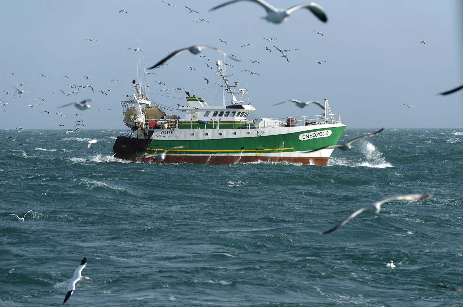 Ce reportage a été réalisé en janvier 2014 à bord du chalutier Marie-Catherine, appartenant à la SARL Armement Cherbourgeois créé en 1999 par Sophie et David LEROY. Cette marée de 7 jours fût assez mouvementée d'une part par la météo très capricieuse, mais également par la difficulté de réaliser les prises de vues. Une sélection de 20 photographies a été présentée lors de la 4ème édition du Festival photo L'Homme et la Mer au Guilvinec (Bretagne) en 2014, ainsi qu'au Musée de Tatihou 'Avis de grand frais (Manche) http:  www.armement-cherbourgeois.fr 
