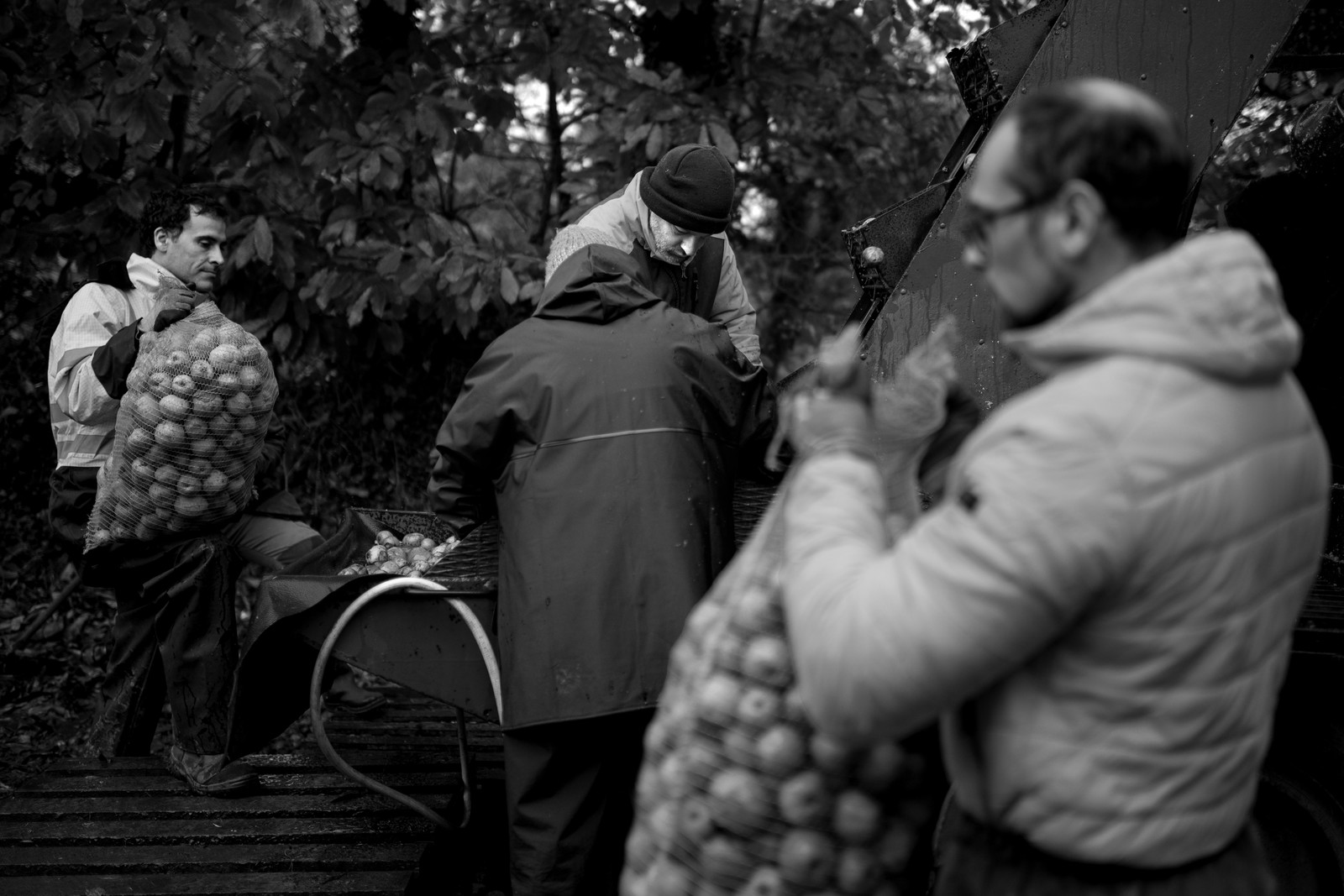 Les vergers du Clos Moulin