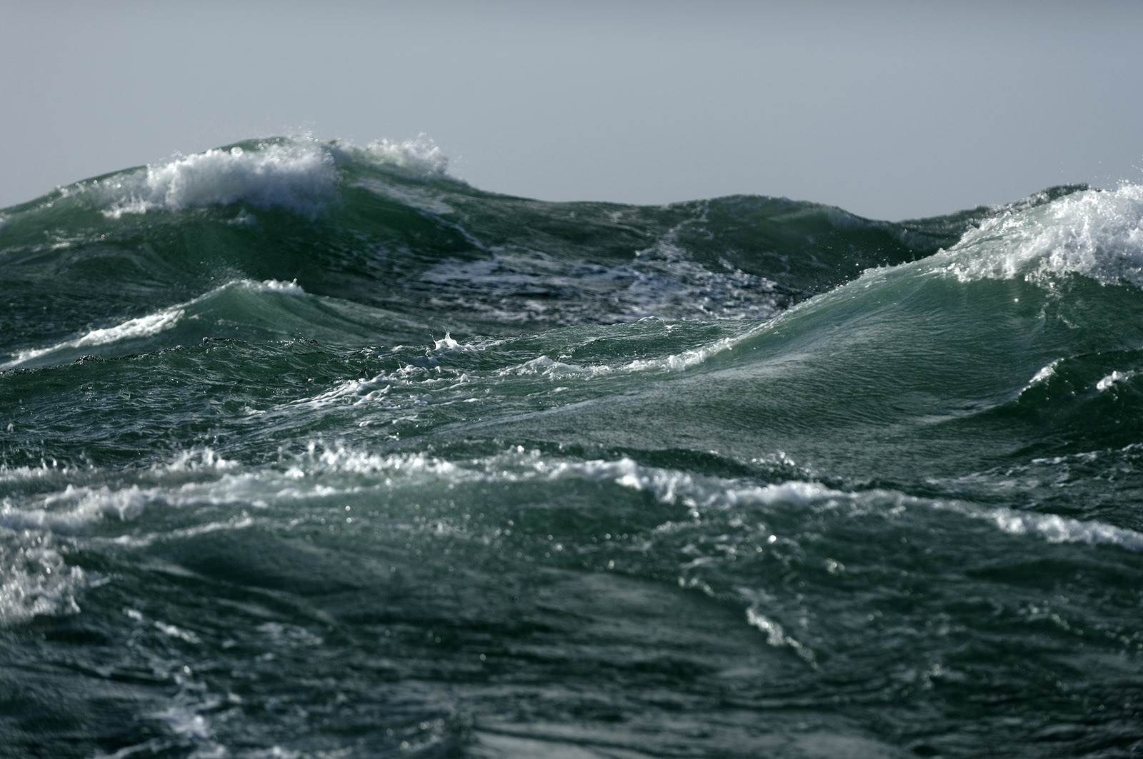 Ce reportage a été réalisé en janvier 2014 à bord du chalutier Marie-Catherine, appartenant à la SARL Armement Cherbourgeois créé en 1999 par Sophie et David LEROY. Cette marée de 7 jours fût assez mouvementée d'une part par la météo très capricieuse, mais également par la difficulté de réaliser les prises de vues. Une sélection de 20 photographies a été présentée lors de la 4ème édition du Festival photo L'Homme et la Mer au Guilvinec (Bretagne) en 2014, ainsi qu'au Musée de Tatihou 'Avis de grand frais (Manche) http:  www.armement-cherbourgeois.fr 