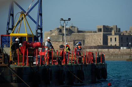 En Normandie, on teste les digues du futur pour protéger la faune et la flore marines