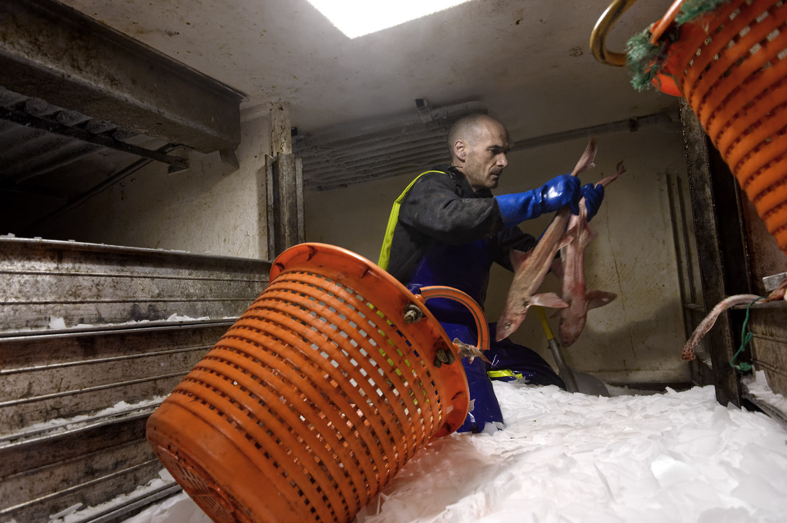 Ce reportage a été réalisé en janvier 2014 à bord du chalutier Marie-Catherine, appartenant à la SARL Armement Cherbourgeois créé en 1999 par Sophie et David LEROY. Cette marée de 7 jours fût assez mouvementée d'une part par la météo très capricieuse, mais également par la difficulté de réaliser les prises de vues. Une sélection de 20 photographies a été présentée lors de la 4ème édition du Festival photo L'Homme et la Mer au Guilvinec (Bretagne) en 2014, ainsi qu'au Musée de Tatihou 'Avis de grand frais (Manche) http:  www.armement-cherbourgeois.fr 