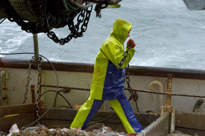 Ce reportage a été réalisé en janvier 2014 à bord du chalutier Marie-Catherine, appartenant à la SARL Armement Cherbourgeois créé en 1999 par Sophie et David LEROY. Cette marée de 7 jours fût assez mouvementée d'une part par la météo très capricieuse, mais également par la difficulté de réaliser les prises de vues. Une sélection de 20 photographies a été présentée lors de la 4ème édition du Festival photo L'Homme et la Mer au Guilvinec (Bretagne) en 2014, ainsi qu'au Musée de Tatihou 'Avis de grand frais (Manche) http:  www.armement-cherbourgeois.fr 