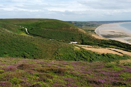 Le village de Vauville fait partie des sites classés de la Hague, Cap Cotentin. Les Pierres Pouquelées, galerie néolithique, sont un témoignage de l'Antiquité.La mare de Vauville est une réserve naturelle. Créée en 1976 c'est l'une des 135 réserves naturelles de France. Géré par le Groupe Ornithologique Normand depuis 1983, c'est un marais d'eau douce protégé de la mer par un étroit cordon dunaire. La mare de Vauville fait 62 ha, il y a plus de 150 espèces d'oiseaux ainsi que de 350 plantes et 16 espèces de batraciens.Un édifice autrefois religieux domine le village. C'est le prieuré de Vauville construit dans les landes, sur le haut d'une colline.Créé par Eric et Nicole Pellerin en 1947, l'exceptionnel jardin botanique du château de Vauville occupe plus de 40 000 m2. Abritant plus de 1000 espèces de l'hémisphère austral, le jardin entoure le château de Vauville dans une ambiance subtropicale tout à fait surprenante.