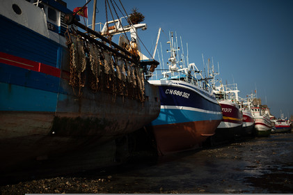 La Presqu'île du Cotentin