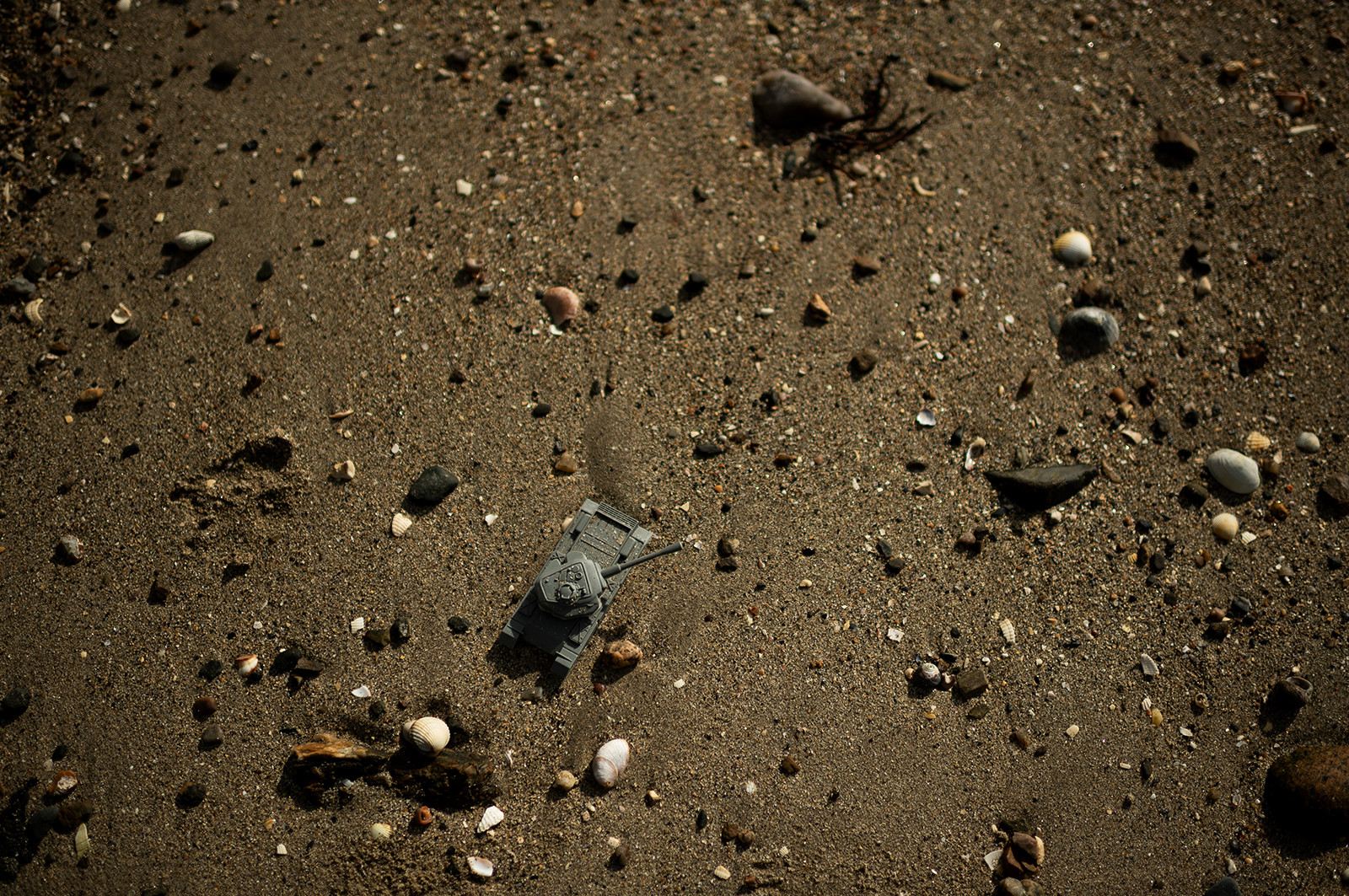 La Presqu'île du Cotentin