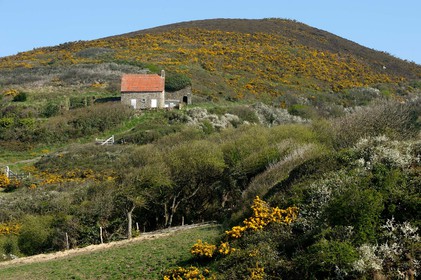 Le village de Vauville fait partie des sites classés de la Hague, Cap Cotentin. Les Pierres Pouquelées, galerie néolithique, sont un témoignage de l'Antiquité.La mare de Vauville est une réserve naturelle. Créée en 1976 c'est l'une des 135 réserves naturelles de France. Géré par le Groupe Ornithologique Normand depuis 1983, c'est un marais d'eau douce protégé de la mer par un étroit cordon dunaire. La mare de Vauville fait 62 ha, il y a plus de 150 espèces d'oiseaux ainsi que de 350 plantes et 16 espèces de batraciens.Un édifice autrefois religieux domine le village. C'est le prieuré de Vauville construit dans les landes, sur le haut d'une colline.Créé par Eric et Nicole Pellerin en 1947, l'exceptionnel jardin botanique du château de Vauville occupe plus de 40 000 m2. Abritant plus de 1000 espèces de l'hémisphère austral, le jardin entoure le château de Vauville dans une ambiance subtropicale tout à fait surprenante.