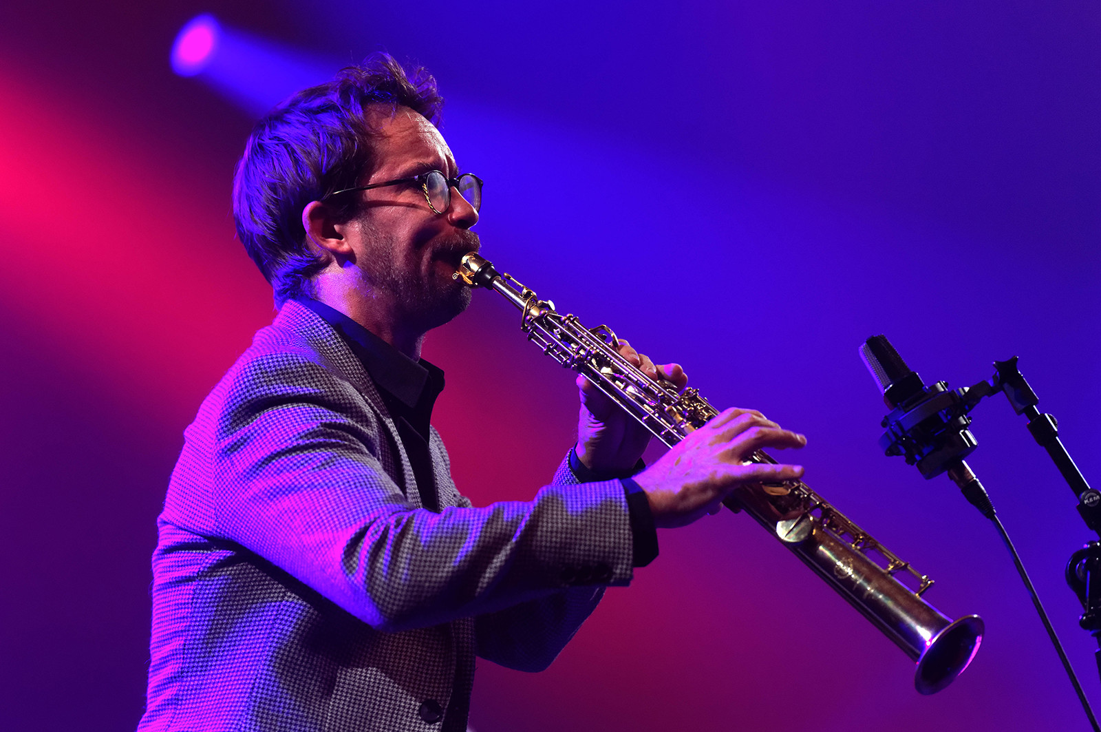 Week-end sous les pommiers