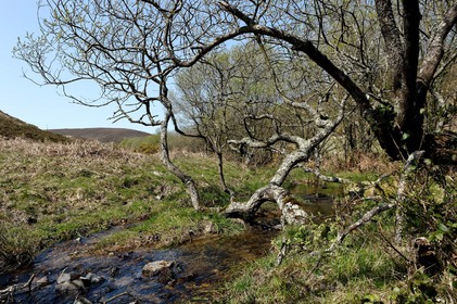 Le village de Vauville fait partie des sites classés de la Hague, Cap Cotentin. Les Pierres Pouquelées, galerie néolithique, sont un témoignage de l'Antiquité.La mare de Vauville est une réserve naturelle. Créée en 1976 c'est l'une des 135 réserves naturelles de France. Géré par le Groupe Ornithologique Normand depuis 1983, c'est un marais d'eau douce protégé de la mer par un étroit cordon dunaire. La mare de Vauville fait 62 ha, il y a plus de 150 espèces d'oiseaux ainsi que de 350 plantes et 16 espèces de batraciens.Un édifice autrefois religieux domine le village. C'est le prieuré de Vauville construit dans les landes, sur le haut d'une colline.Créé par Eric et Nicole Pellerin en 1947, l'exceptionnel jardin botanique du château de Vauville occupe plus de 40 000 m2. Abritant plus de 1000 espèces de l'hémisphère austral, le jardin entoure le château de Vauville dans une ambiance subtropicale tout à fait surprenante.