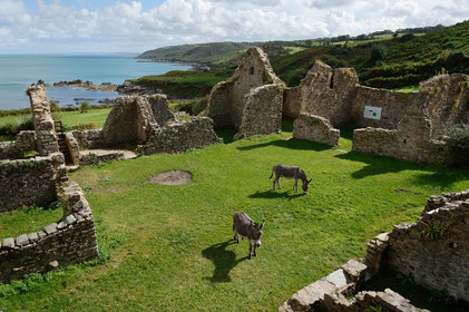 La ferme de la Cotentine est une ancienne exploitation agricole de la Manche, située à Omonville-la-Rogue.Abandonnée, et menacée de ruine, elle est achetée en 1991 par le Conservatoire du littoral, qui entreprend une opération de sauvegarde. En liaison avec la Communauté de communes de la Hague et le Syndicat mixte des espaces littoraux de la Manche (Symel), des chantiers bénévoles de réhabilitation sont organisés, qui permettent de mettre les murs en sécurité et de de commencer à mettre en valeur l'ensemble bâti.La baie de Quervière se situe entre Landemer et le port d'Omonville-la-Rogue (Manche) sur le sentier des Douaniers.