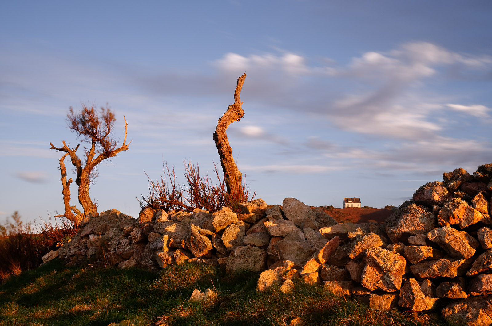 GouryA l’ouest du Cotentin (Manche), la Hague est une terre de contrastes et de lumières, une région sauvage et préservée. Le mot Hague est un ancien terme dialectal normand. Il est issu du vieux norois qui signifie «enclos, terrain clos».La Hague présente un littoral varié : falaises abruptes (entre Urville-Nacqueville et Omonville-la-Rogue, et entre Auderville et Vauville), au pied desquelles se trouve une succession de baies, grandes plages (Urville-Nacqueville et à Vauville), d'îlots et platiers rocheux (cap de la Hague,pointe de Jardeheu..), des massifs dunaires (Biville), des grèves de galets (Anse Saint-Martin), des marais arrière-littoraux (Mare de Vauville) et des vallons boisés (Hubiland, Sabine…). La côte est également agrémentée de petits ports (Goury, le Houguet, Port Racine, Port du Hâble…) et de mouillages.La péninsule haguaise est principalement un pays de landes et de bocage, à l'intérieur des terres, formées de fougères, bruyères, genêts et ajoncs.
