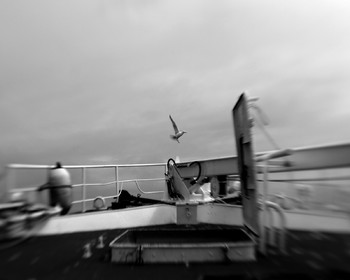 Marin pêcheur.. Deux mots qui suscitent tant de sentiments divers chez les gens de terre... Respect, admiration pour cette liberté, ce courage, mais aussi souvent peur et angoisse. Sont-ils fous ou désepérés pour risquer ainsi leurs vies quotidiennement ? Non, justes passionnés par leur métier, la mer est leur grande histoire d'amour.Le salaire de la peur des forcats de la mer, le journaliste avait raison.Ces photographies réalisées au cours de plusieurs marées à bord du Yannick, chalutier cherbourgeois, vous décrivent l'histoire d'un navire, d'un équipage, d'une famille. Vous embarquez à leurs côtés et découvrez leurs conditions de travail, la tempête, la fatigue, et, au détour d'une image, un sourire.Sophie LeroyDirectice de l'Armement Cherbourgeois