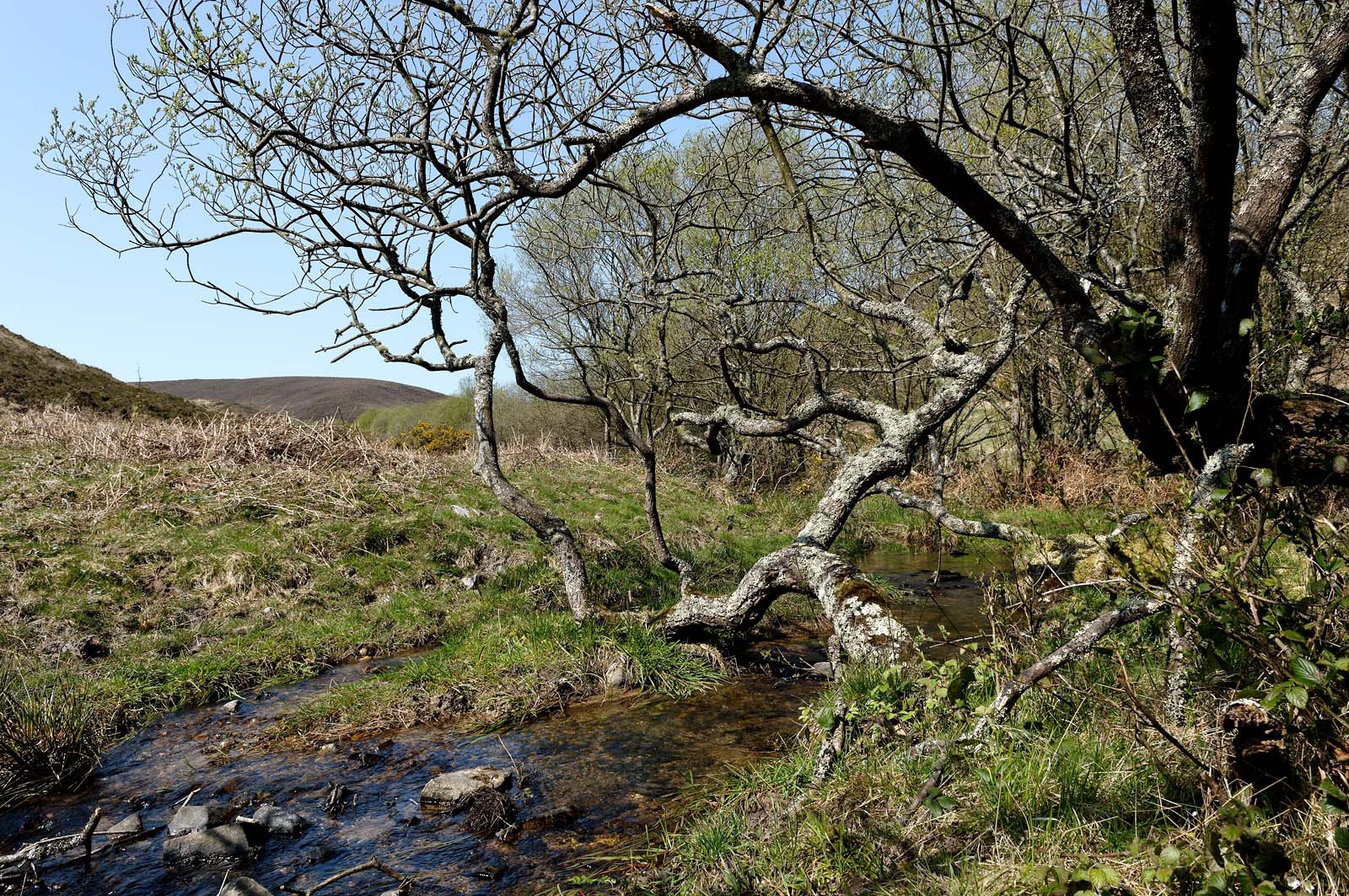 Le village de Vauville fait partie des sites classés de la Hague, Cap Cotentin. Les Pierres Pouquelées, galerie néolithique, sont un témoignage de l'Antiquité.La mare de Vauville est une réserve naturelle. Créée en 1976 c'est l'une des 135 réserves naturelles de France. Géré par le Groupe Ornithologique Normand depuis 1983, c'est un marais d'eau douce protégé de la mer par un étroit cordon dunaire. La mare de Vauville fait 62 ha, il y a plus de 150 espèces d'oiseaux ainsi que de 350 plantes et 16 espèces de batraciens.Un édifice autrefois religieux domine le village. C'est le prieuré de Vauville construit dans les landes, sur le haut d'une colline.Créé par Eric et Nicole Pellerin en 1947, l'exceptionnel jardin botanique du château de Vauville occupe plus de 40 000 m2. Abritant plus de 1000 espèces de l'hémisphère austral, le jardin entoure le château de Vauville dans une ambiance subtropicale tout à fait surprenante.