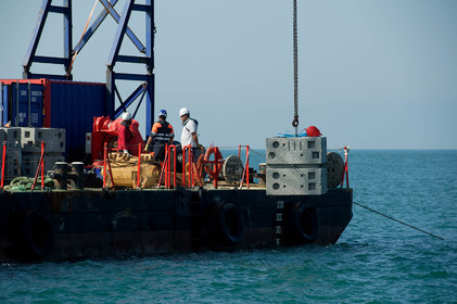 En Normandie, on teste les digues du futur pour protéger la faune et la flore marines