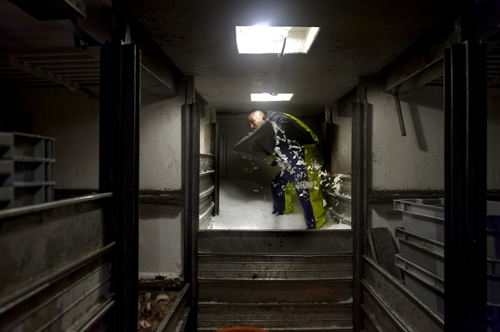 Ce reportage a été réalisé en janvier 2014 à bord du chalutier Marie-Catherine, appartenant à la SARL Armement Cherbourgeois créé en 1999 par Sophie et David LEROY. Cette marée de 7 jours fût assez mouvementée d'une part par la météo très capricieuse, mais également par la difficulté de réaliser les prises de vues. Une sélection de 20 photographies a été présentée lors de la 4ème édition du Festival photo L'Homme et la Mer au Guilvinec (Bretagne) en 2014, ainsi qu'au Musée de Tatihou 'Avis de grand frais (Manche) http:  www.armement-cherbourgeois.fr 