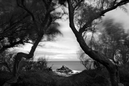 Antoine Soubigou Photographe