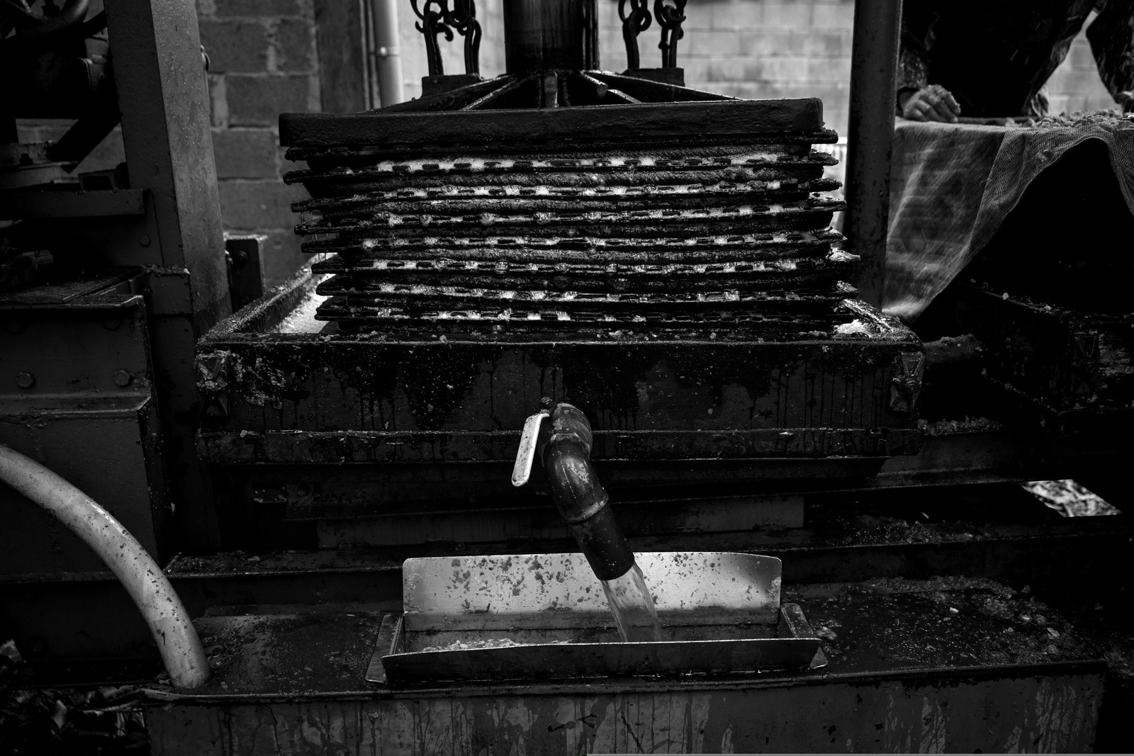 Les vergers du Clos Moulin