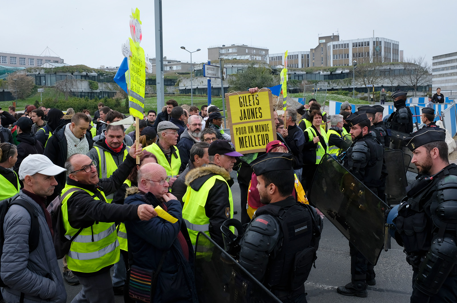 Les Gilets jaunes. Un mouvement social inédit dans l'histoire de France
