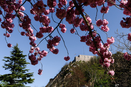 Une ville résolument tournée vers la mer.Cherbourg-en-Cotentin est située dans la presqu'île du Cotentin, à la pointe Ouest de la Normandie. (ville-cherbourg.fr)Un lieu incontournable en Normandie : La Cité de la Mer (http:  www.citedelamer.com)