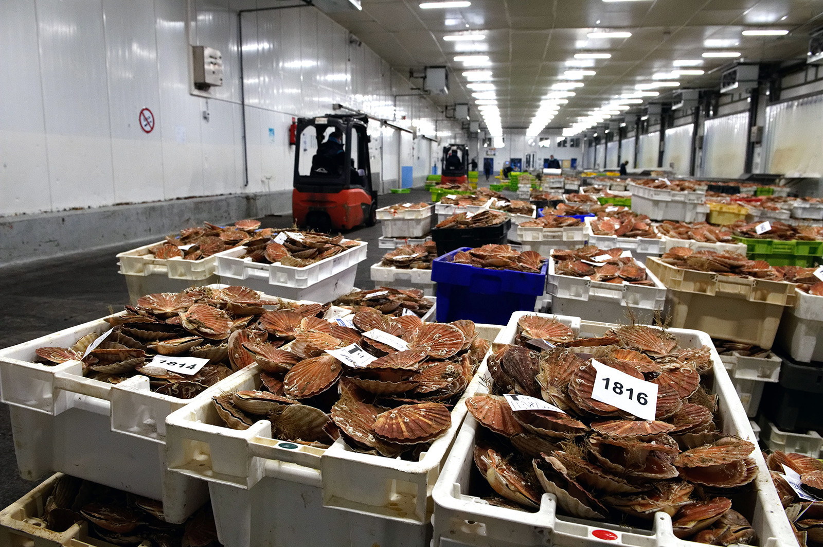 La ministre de la Mer, Annick Girardin, à Port-en-Bessin (Calvados)