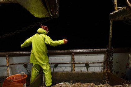 Ce reportage a été réalisé en janvier 2014 à bord du chalutier Marie-Catherine, appartenant à la SARL Armement Cherbourgeois créé en 1999 par Sophie et David LEROY. Cette marée de 7 jours fût assez mouvementée d'une part par la météo très capricieuse, mais également par la difficulté de réaliser les prises de vues. Une sélection de 20 photographies a été présentée lors de la 4ème édition du Festival photo L'Homme et la Mer au Guilvinec (Bretagne) en 2014, ainsi qu'au Musée de Tatihou 'Avis de grand frais (Manche) http:  www.armement-cherbourgeois.fr 