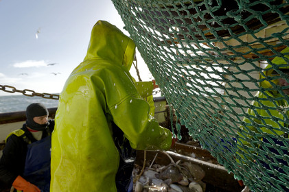 Ce reportage a été réalisé en janvier 2014 à bord du chalutier Marie-Catherine, appartenant à la SARL Armement Cherbourgeois créé en 1999 par Sophie et David LEROY. Cette marée de 7 jours fût assez mouvementée d'une part par la météo très capricieuse, mais également par la difficulté de réaliser les prises de vues. Une sélection de 20 photographies a été présentée lors de la 4ème édition du Festival photo L'Homme et la Mer au Guilvinec (Bretagne) en 2014, ainsi qu'au Musée de Tatihou 'Avis de grand frais (Manche) http:  www.armement-cherbourgeois.fr 