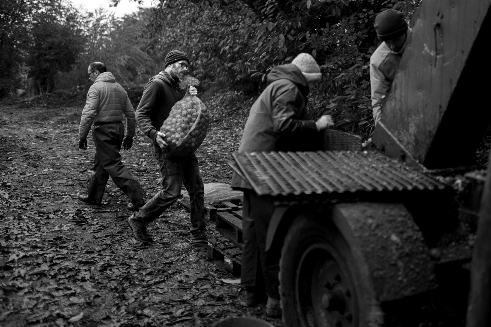Les vergers du Clos Moulin