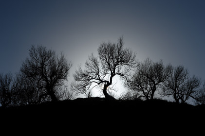 A l’ouest du Cotentin (Manche), la Hague est une terre de contrastes et de lumières, une région sauvage et préservée. Le mot Hague est un ancien terme dialectal normand. Il est issu du vieux norois qui signifie «enclos, terrain clos».La Hague présente un littoral varié : falaises abruptes (entre Urville-Nacqueville et Omonville-la-Rogue, et entre Auderville et Vauville), au pied desquelles se trouve une succession de baies, grandes plages (Urville-Nacqueville et à Vauville), d'îlots et platiers rocheux (cap de la Hague,pointe de Jardeheu..), des massifs dunaires (Biville), des grèves de galets (Anse Saint-Martin), des marais arrière-littoraux (Mare de Vauville) et des vallons boisés (Hubiland, Sabine…). La côte est également agrémentée de petits ports (Goury, le Houguet, Port Racine, Port du Hâble…) et de mouillages.La péninsule haguaise est principalement un pays de landes et de bocage, à l'intérieur des terres, formées de fougères, bruyères, genêts et ajoncs.