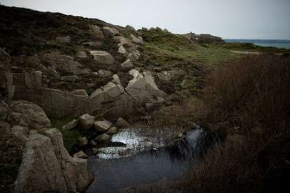 La Presqu'île du Cotentin