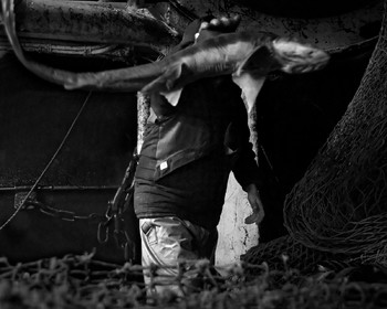 Marin pêcheur.. Deux mots qui suscitent tant de sentiments divers chez les gens de terre... Respect, admiration pour cette liberté, ce courage, mais aussi souvent peur et angoisse. Sont-ils fous ou désepérés pour risquer ainsi leurs vies quotidiennement ? Non, justes passionnés par leur métier, la mer est leur grande histoire d'amour.Le salaire de la peur des forcats de la mer, le journaliste avait raison.Ces photographies réalisées au cours de plusieurs marées à bord du Yannick, chalutier cherbourgeois, vous décrivent l'histoire d'un navire, d'un équipage, d'une famille. Vous embarquez à leurs côtés et découvrez leurs conditions de travail, la tempête, la fatigue, et, au détour d'une image, un sourire.Sophie LeroyDirectice de l'Armement Cherbourgeois