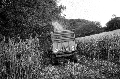 Antoine Soubigou Photographe