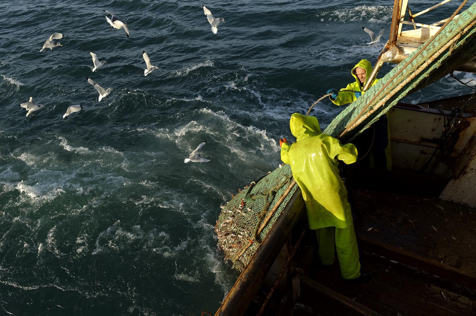 Ce reportage a été réalisé en janvier 2014 à bord du chalutier Marie-Catherine, appartenant à la SARL Armement Cherbourgeois créé en 1999 par Sophie et David LEROY. Cette marée de 7 jours fût assez mouvementée d'une part par la météo très capricieuse, mais également par la difficulté de réaliser les prises de vues. Une sélection de 20 photographies a été présentée lors de la 4ème édition du Festival photo L'Homme et la Mer au Guilvinec (Bretagne) en 2014, ainsi qu'au Musée de Tatihou 'Avis de grand frais (Manche) http:  www.armement-cherbourgeois.fr 