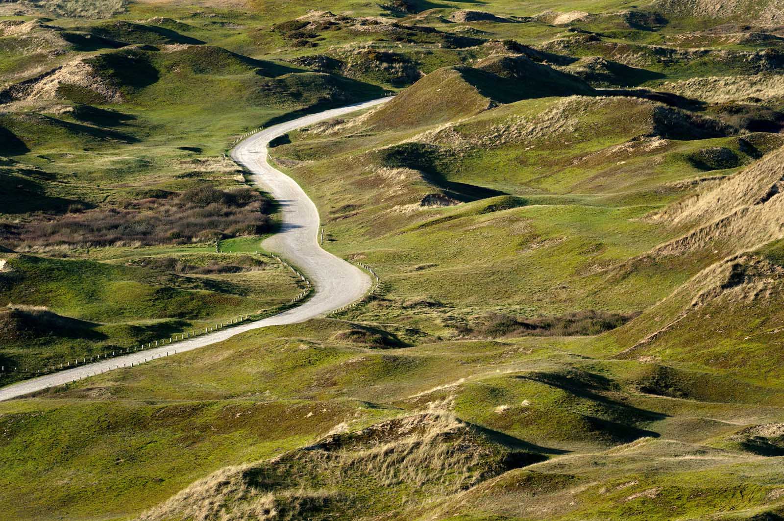 Les dunes de Biville couvrent plus de 700 hectares du littoral de la Hague (Manche), entre le cap de Flamanville et les falaises d’Herqueville. Elles constituent un massif naturel exceptionnel, tant par la qualité de ses paysages que sa richesse botanique.