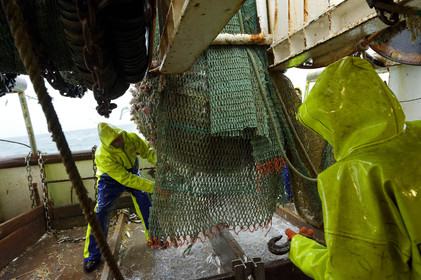 Ce reportage a été réalisé en janvier 2014 à bord du chalutier Marie-Catherine, appartenant à la SARL Armement Cherbourgeois créé en 1999 par Sophie et David LEROY. Cette marée de 7 jours fût assez mouvementée d'une part par la météo très capricieuse, mais également par la difficulté de réaliser les prises de vues. Une sélection de 20 photographies a été présentée lors de la 4ème édition du Festival photo L'Homme et la Mer au Guilvinec (Bretagne) en 2014, ainsi qu'au Musée de Tatihou 'Avis de grand frais (Manche) http:  www.armement-cherbourgeois.fr 