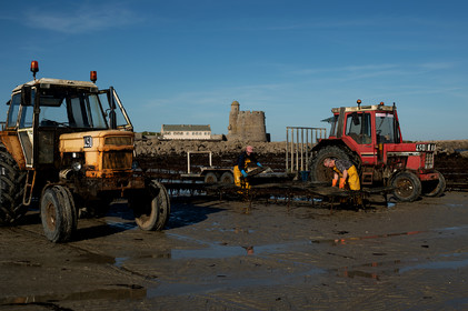Les parcs à huîtres de Saint-Vaast-la-Hougue (Cotentin)