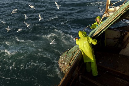 Ce reportage a été réalisé en janvier 2014 à bord du chalutier Marie-Catherine, appartenant à la SARL Armement Cherbourgeois créé en 1999 par Sophie et David LEROY. Cette marée de 7 jours fût assez mouvementée d'une part par la météo très capricieuse, mais également par la difficulté de réaliser les prises de vues. Une sélection de 20 photographies a été présentée lors de la 4ème édition du Festival photo L'Homme et la Mer au Guilvinec (Bretagne) en 2014, ainsi qu'au Musée de Tatihou 'Avis de grand frais (Manche) http:  www.armement-cherbourgeois.fr 